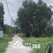 Bán lô đất trồng cây lâu năm (lên được thổ cư) Nhị Bình Hóc Môn