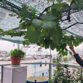 NHÀ HẺM XE HƠI - TRUNG TÂM HẠNH THÔNG GIÁP SÂN BAY - 30M2 - Hạnh Thông, Gò Vấp