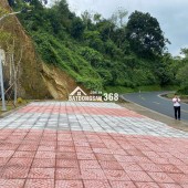 Với 290 triệu bạn sẽ mua được rất nhiều thứ, trong đó có cả bất động sản