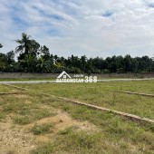 SIÊU HOT! MỞ BÁN QUỸ ĐẤT HIẾM HAMI CAO DƯƠNG – SỐ LƯỢNG GIỚI HẠN – GIÁ F0 CHỈ 3XX TRIỆU