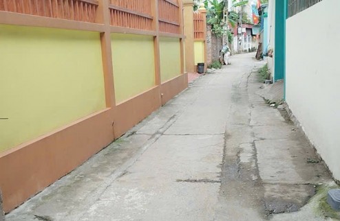  BÁN ĐẤT MẠNH TÂN – THƯ LÂM, HÀ NỘI ( Đông Anh cũ) 50m-2.x tỷ- Lô góc