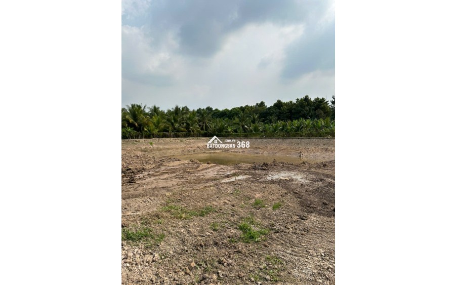 Bán đất hoặc cho thuê mặt tiền Quốc Lộ 1A, 8400 m2, tại Châu Thành, Tiền Giang