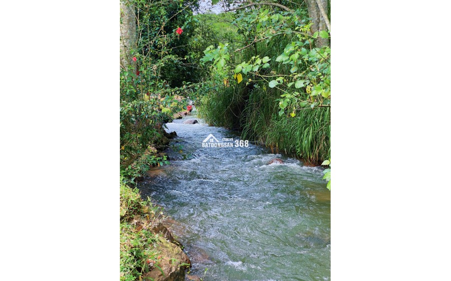 ĐẤT VƯỜN GIÁP SUỐI GIÁ RẺ TẠI LA NGÀ - ĐỊNH QUÁN