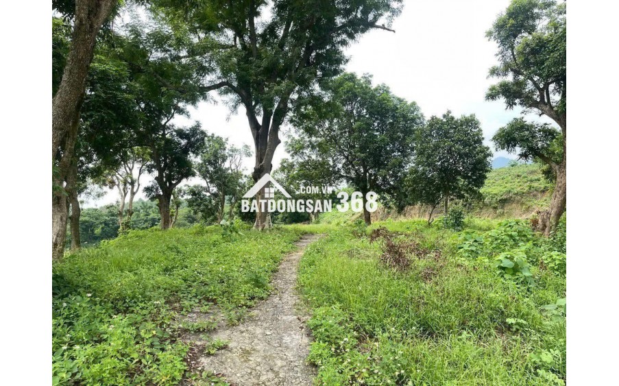 Cần bán đất vườn Định Quán, đất nghỉ dưỡng giáp suối, vị trí đẹp gần Quốc lộ 20, giá rẻ chỉ 850 triệu/sào.