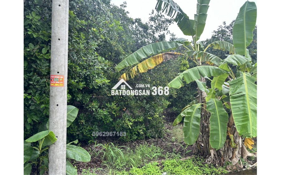 1.100M² – ĐẤT GIÁP SUỐI – VIEW ĐẢO Ó – TẶNG NHÀ CONTAINER