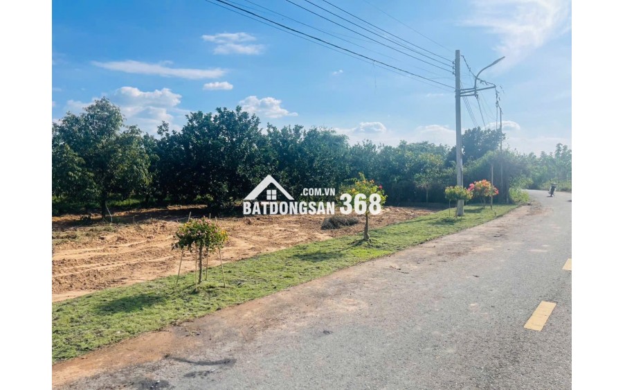  BÁN VƯỜN BƯỞI – TẶNG KÈM ĐẤT THỔ CƯ, GIÁ CHỈ TỪ 300 TRIỆU SỞ HỮU NGAY 