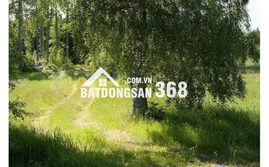 ĐẤT VƯỜN GIÁP SUỐI GIÁ RẺ TẠI LA NGÀ - ĐỊNH QUÁN