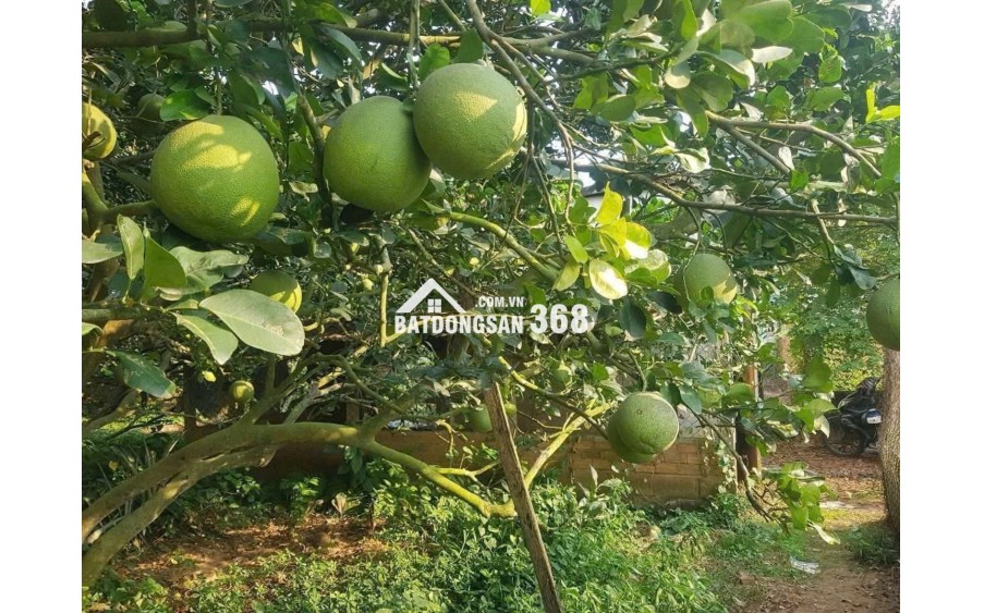 ĐẤT VƯỜN GIÁP SUỐI GIÁ RẺ TẠI LA NGÀ - ĐỊNH QUÁN