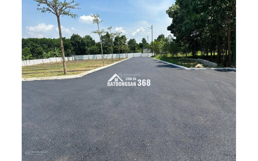Bán nhanh lô đất Cổ Đông 95.1m², MT 4.4m, sát QL21A mở rộng, đồng trạng cổ đông