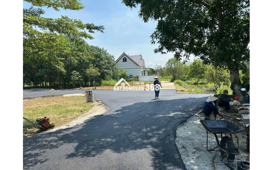 Bán nhanh lô đất Cổ Đông 95.1m², MT 4.4m, sát QL21A mở rộng, đồng trạng cổ đông