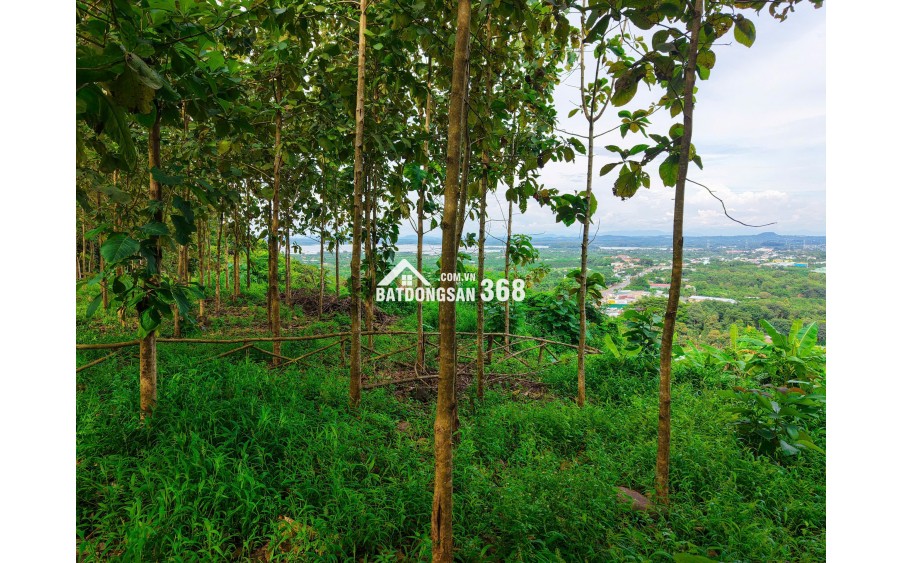 ĐẤT VƯỜN GIÁP SUỐI GIÁ RẺ TẠI LA NGÀ - ĐỊNH QUÁN