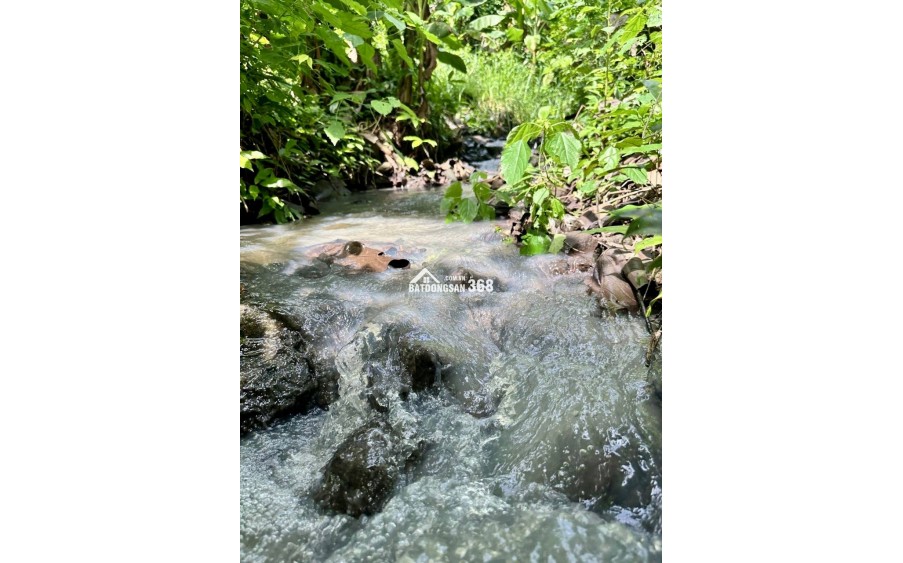 Cần bán đất vườn Định Quán, đất nghỉ dưỡng giáp suối, vị trí đẹp gần Quốc lộ 20, giá rẻ chỉ 850 triệu/sào.