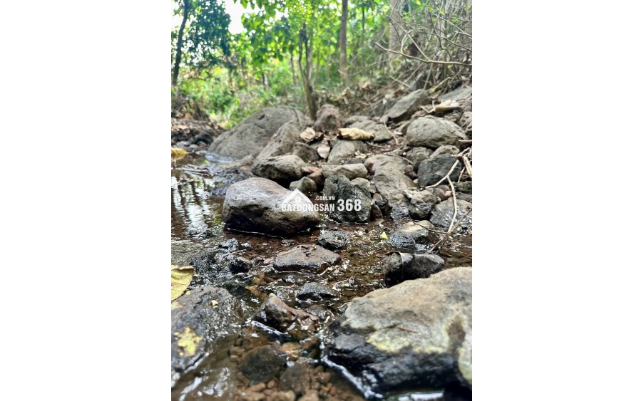 Cần bán đất vườn Định Quán, đất nghỉ dưỡng giáp suối, vị trí đẹp gần Quốc lộ 20, giá rẻ chỉ 850 triệu/sào.