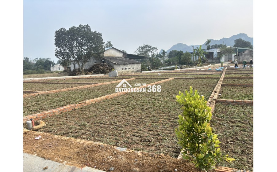 CHỈ VỚI 3xxTRIỆU - CƠ HỘI TĂNG TÀI SẢN BỨT PHÁ 