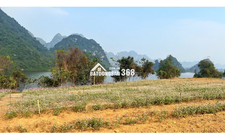 Bán Shophouse dự án Utopia Phú Thọ (Hòa Bình cũ)