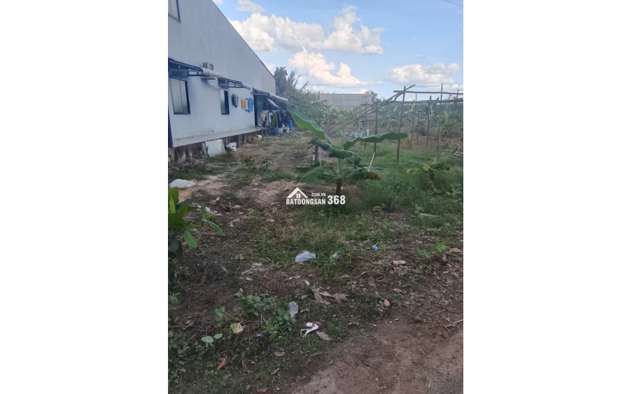 CHÍNH CHỦ CẦN BÁN ĐẤT CHƠN THÀNH