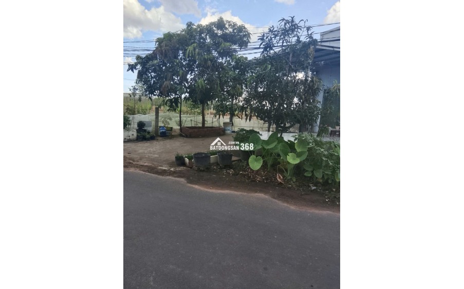 CHÍNH CHỦ CẦN BÁN ĐẤT CHƠN THÀNH