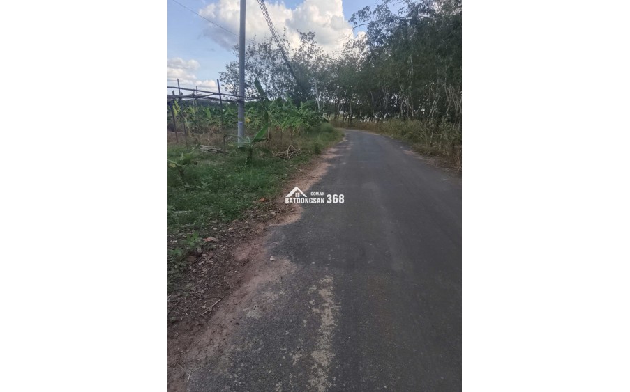 CHÍNH CHỦ CẦN BÁN ĐẤT CHƠN THÀNH