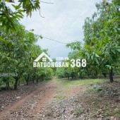 1.100M² – ĐẤT GIÁP SUỐI – VIEW ĐẢO Ó – TẶNG NHÀ CONTAINER