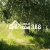 ĐẤT VƯỜN GIÁP SUỐI GIÁ RẺ TẠI LA NGÀ - ĐỊNH QUÁN