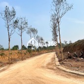 Bán đất nền Shophouse dự án Utopia Phú Thọ (Hòa Bình cũ)