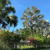  TUYỆT PHẨM NHÀ PHỐ BIỂN ĐÀ NẴNG - MẶT TIỀN TÂN LƯU - NGANG 6M BỀ THẾ - FULL NỘI THẤT GỖ CAO CẤP