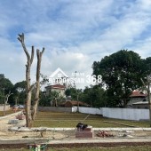 BẮT ĐÚNG NHỊP MUA – NẮM TRỌN DƯ ĐỊA TĂNG GIÁ - CƠ HỘI ĐẦU TƯ CHỈ BẮT ĐẦU TỪ 300 TRIỆU