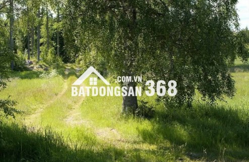 ĐẤT VƯỜN GIÁP SUỐI GIÁ RẺ TẠI LA NGÀ - ĐỊNH QUÁN