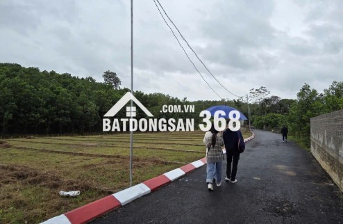  Đất trung tâm An Bình chỉ 195 triệu/lô 