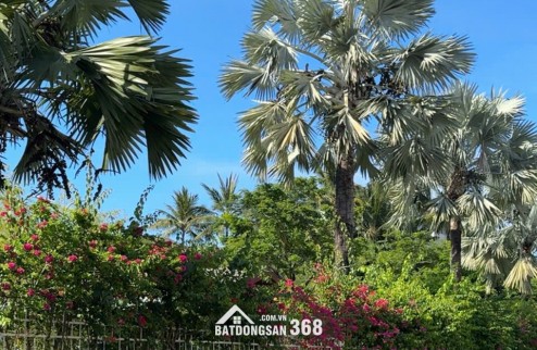  TUYỆT PHẨM NHÀ PHỐ BIỂN ĐÀ NẴNG - MẶT TIỀN TÂN LƯU - NGANG 6M BỀ THẾ - FULL NỘI THẤT GỖ CAO CẤP