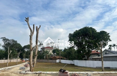 BẮT ĐÚNG NHỊP MUA – NẮM TRỌN DƯ ĐỊA TĂNG GIÁ - CƠ HỘI ĐẦU TƯ CHỈ BẮT ĐẦU TỪ 300 TRIỆU