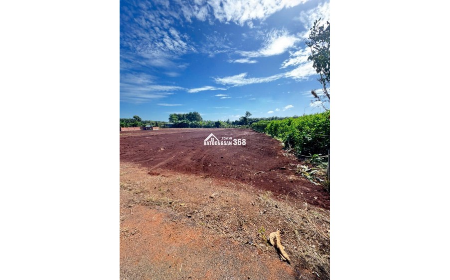 CẦN BÁN LÔ ĐẤT LONG PHƯỚC BRVT – nay thuộc P. TAM LONG, TP.HCM