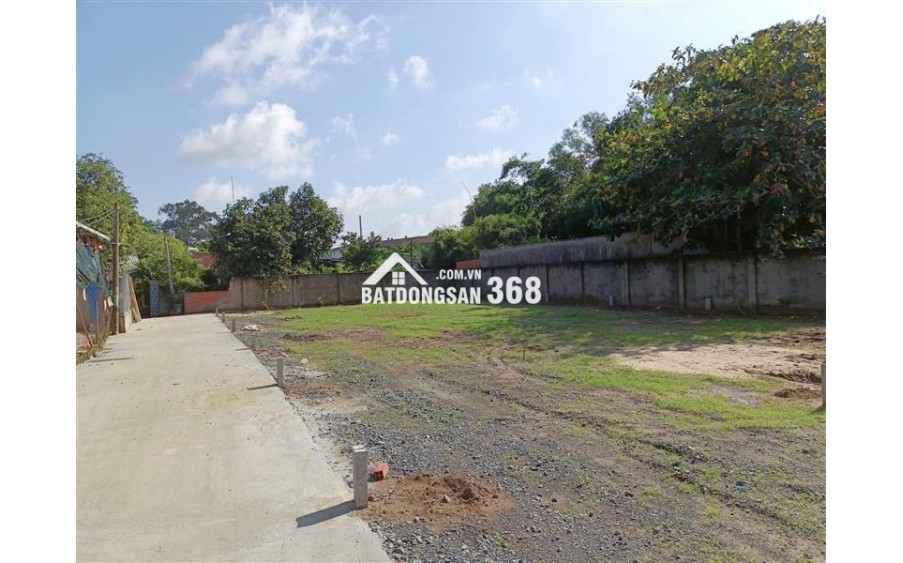 BÁN ĐẤT THỔ CƯ XÃ BÌNH MỸ (TRUNG AN CŨ) – CỦ CHI – CÁCH TÂN QUY TL15 500M