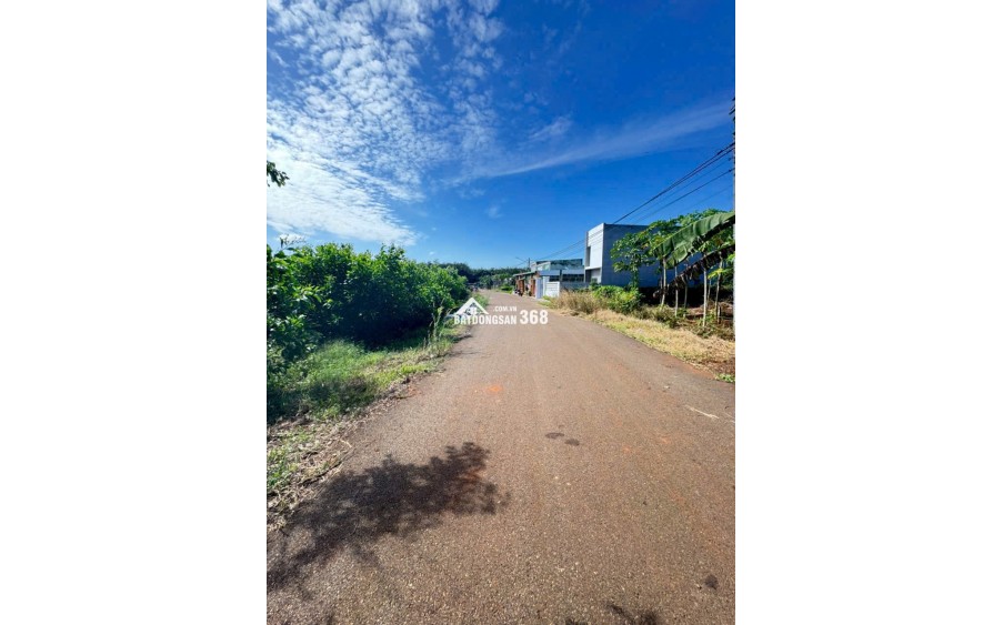 CẦN BÁN LÔ ĐẤT LONG PHƯỚC BRVT – nay thuộc P. TAM LONG, TP.HCM