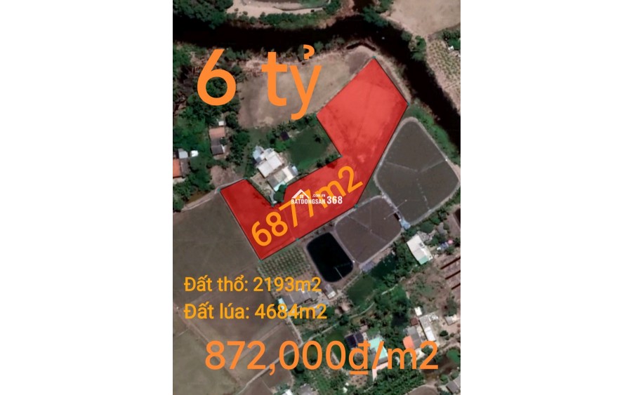 Bán gấp lô đất thổ lúa gần Quốc Lộ 50B hạ giá 6 tỷ