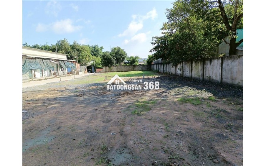 BÁN ĐẤT THỔ CƯ XÃ BÌNH MỸ (TRUNG AN CŨ) – CỦ CHI – CÁCH TÂN QUY TL15 500M