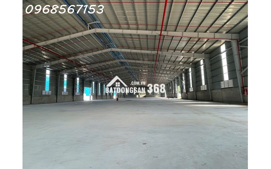 Cho thuê cụm kho xưởng 11.000m² mới xây – Bàu Bàng / Bến Cát – điện 1.000KVA
