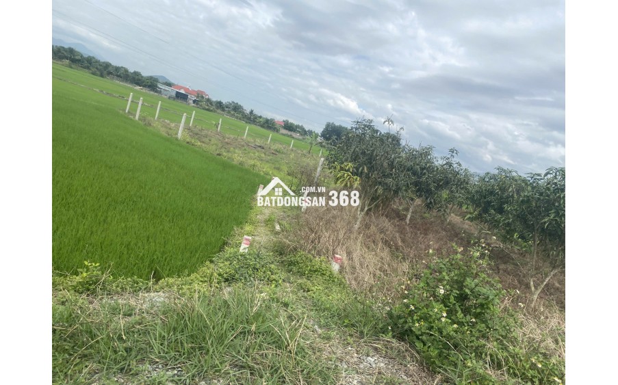 BÁN ĐẤT VƯỜN SUỐI TIÊN, DIÊN KHÁNH, 530M2, GIÁ DƯỚI 500 TRIỆU, GIÁ RẺ