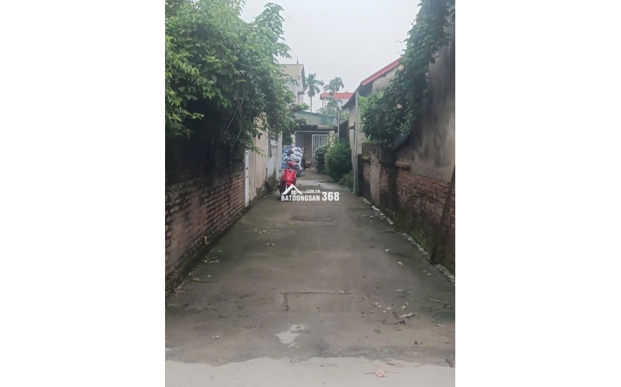 Chính chủ bán 55m² và 46m², đất nở hậu,ngõ xe tải tại Mỹ Nội, Đông Anh