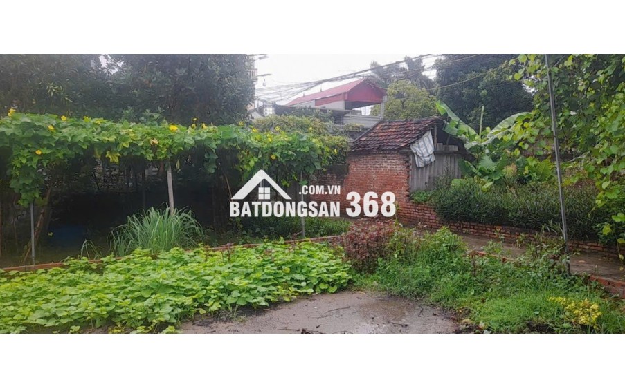 Chính chủ bán 55m² và 46m², đất nở hậu,ngõ xe tải tại Mỹ Nội, Đông Anh