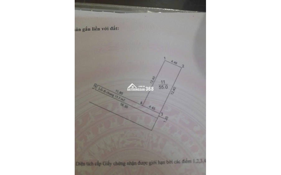 Chính chủ bán 55m² và 46m², đất nở hậu,ngõ xe tải tại Mỹ Nội, Đông Anh