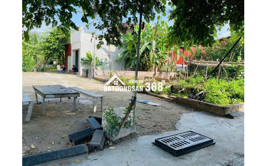 Chính chủ bán 55m² và 46m², đất nở hậu,ngõ xe tải tại Mỹ Nội, Đông Anh