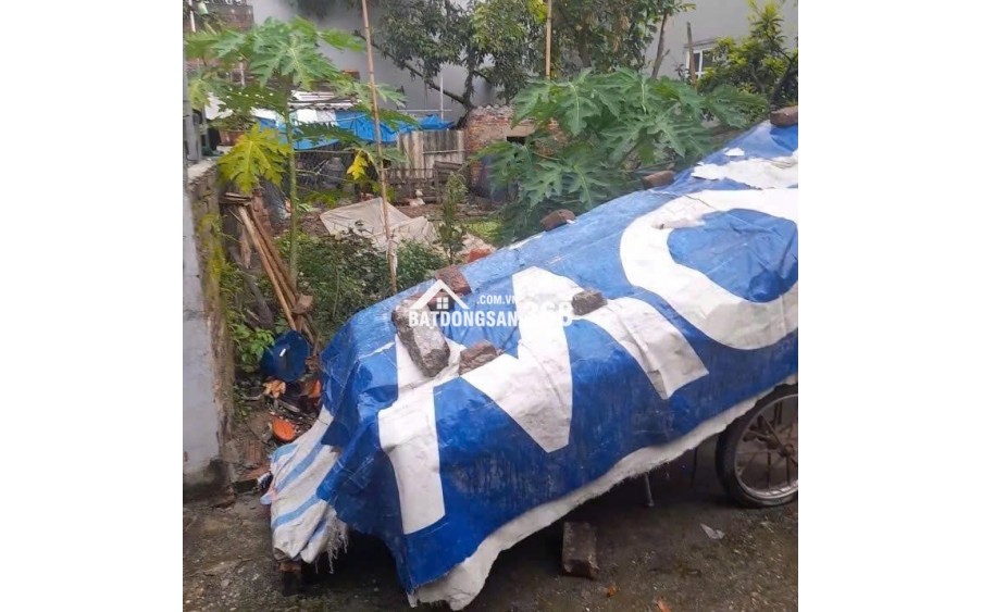 Chính chủ bán 55m² và 46m², đất nở hậu,ngõ xe tải tại Mỹ Nội, Đông Anh