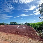 CẦN BÁN LÔ ĐẤT LONG PHƯỚC BRVT – nay thuộc P. TAM LONG, TP.HCM