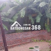 Chính chủ bán 55m² và 46m², đất nở hậu,ngõ xe tải tại Mỹ Nội, Đông Anh