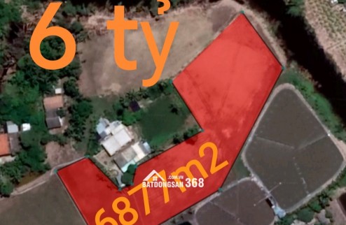 Bán gấp lô đất thổ lúa gần Quốc Lộ 50B hạ giá 6 tỷ