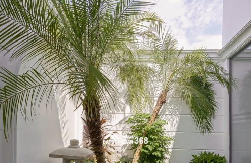 My 0937042608 AGORA CITY – ĐÓN ĐẦU PHÁT TRIỂN, AN CƯ VỮNG BỀN, ĐẦU TƯ SINH LỜI