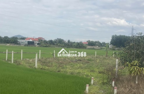 BÁN ĐẤT VƯỜN SUỐI TIÊN, DIÊN KHÁNH, 530M2, GIÁ DƯỚI 500 TRIỆU, GIÁ RẺ