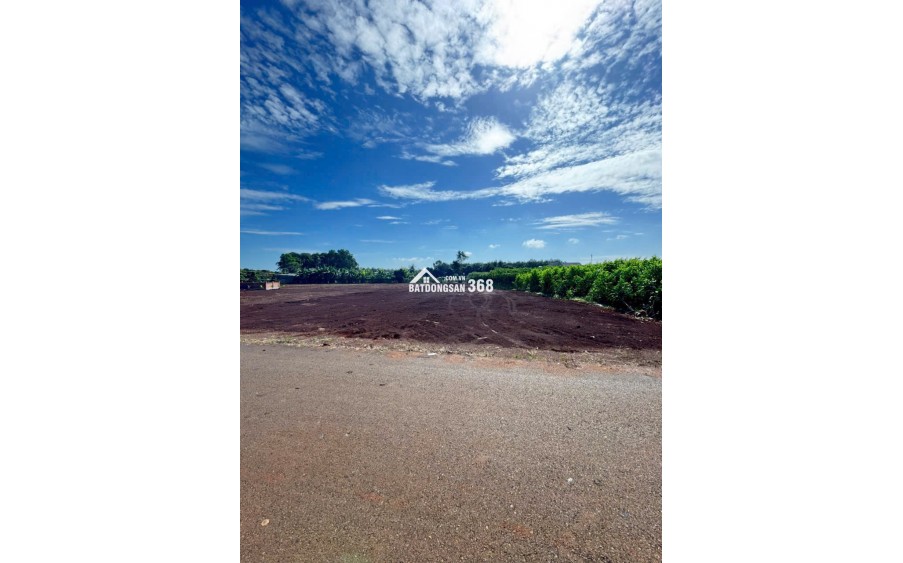 cần bán gấp gần 1 xào đất Long Phước, TP Bà Rịa nay phường Tam Long