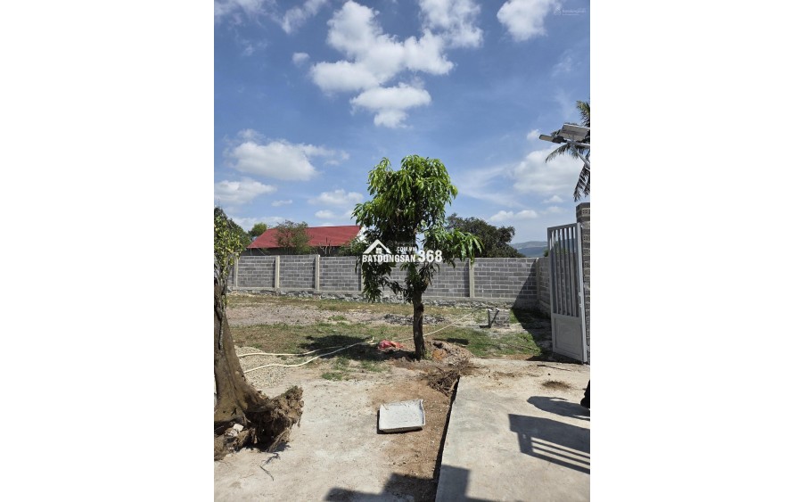 Bán 2 lô đất full thổ cư, tổng 300m2, ngang 10m, nở hậu 10.24m. Tân Khánh, Suối Tiên, Nha Trang